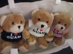画像20080728 687.jpg
